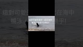 美麗人生  隨我行  被喻為香港科技大學後世的浪漫花園 - 隱世白水碗海灘，風光明媚，仿佛置身日本沖繩，浪漫看海，寧靜而美麗，是滋養心靈的好去處。🌈