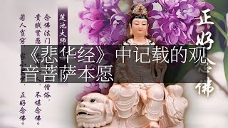 【人间修行录】 《悲华经》中记载的观音菩萨本愿