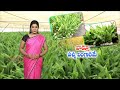 9th october 2023 annadata అన్నదాత full episode etv telugu