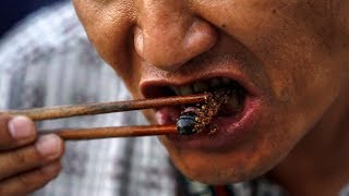 আজব ৫জন খাদক দেখুন । দেখলে বিস্মিত হবেনই। Five  amazing people eating insects