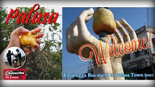 Welcome to Palasa Town | Kasibugga to Palasa Tour.