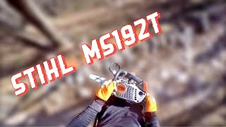 MOTOSEGA da POTATURA: Prima volta Stihl MS 192t