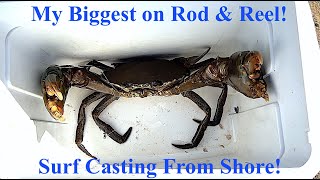 Shore Casting For Samoan/Sole Crab? Rarely Done But Can!