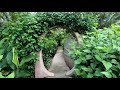 Backpacking Belize Punta Gorda INCREDIBLE Cotton Tree Lodge