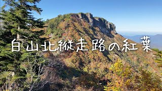 白山北縦走路の紅葉   4K