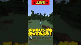 【マイクラ】やっぱり万能すぎる！トライデントの使い方の違い 初心者～上級者  #minecraft #shorts