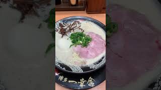 【福岡空港で食べられるおすすめ豚骨ラーメン　博多一幸舎】#豚骨ラーメン #福岡空港 #博多一幸舎#ramennoodles #fukuoka#shortsyoutube #short