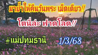 มาย้ำคืนวันพระ ฟาดโลด!! #แม่ปทุมธานี 1 มี.ค.68