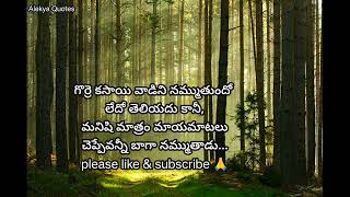 Jeevithasathyaalu || Best Quotes || Emotional Quotes || Alekya Quotes ||