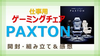 【仕事用ゲーミングチェア開封・組立・感想】いろいろな休日＃２