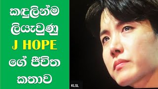 Bts J-hope suprised on his birthday Sinhala| Korean lovers SL| BTS lovers Sinhala| BTS army sinhala