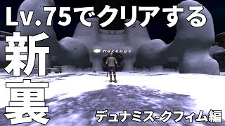 【FF11】デュナミスはこうやって攻略する！！お手本配信