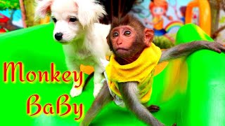 Little Monkey BoBo and puppy eat egg and play on Playground in the Park! | Happy Home