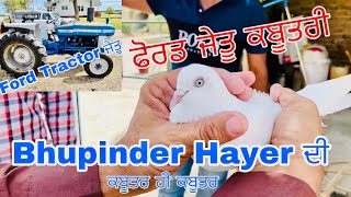 Bhupinder Hayer ਦੀ Ford Tractor ਜੇਤੂ ਕਬੂਤਰੀ । Pigeon bird  video | Kabootar lovers | bazi B Sukh