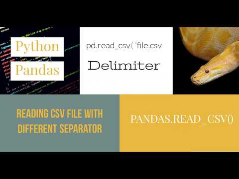 How import CVS into pandas with colon/tab/semicolon separator Delimiter