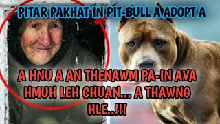 PITAR PAKHAT IN PITBULL A ADOPT A / KUM ENGEMAW HNU A AN THENAWM TE HMUH LEH DAN CHUAN A THAWNG HLE