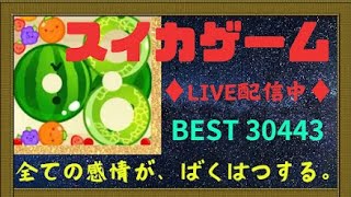 【スイカゲーム】【10連達成＆世界3位達成＆自己べ更新回！！！！！】8連ダブルスイカを目指す【Part33】新サムネと共に...