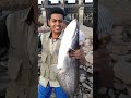 big catfish fishing kalisindh river jhalawar rajasthan। कालिसिंध नदी पर स्पोर्ट फिशिंग by azam