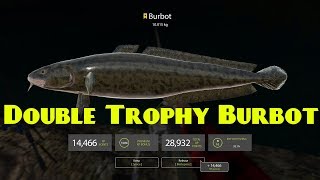 🎣 Double Trophy Burbot 10kg+