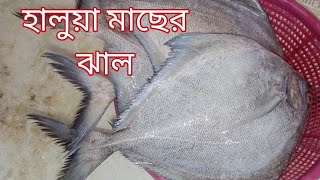 হালুয়া মাছের ঝাল। halwa fish curry recipe in bangali style/sea fish curry/black pomfret fish curry