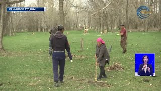 Санитарлық топ Райымбек пен Кеген аудандарының тазалығын тексерді