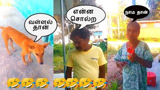 சிரித்து மகிழ Collection video part 26 #comedy// Thulasingam tv #funnycomedyvideo