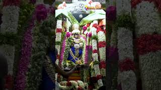 ஸ்ரீ ஏகாம்பரநாதர் கோயில் பங்குனி உற்சவம் திருவிழா காஞ்சிபுரம்  ஏசல்