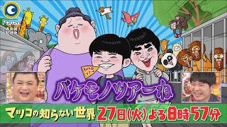 『マツコの知らない世界』4/27(火) 年間170回通う男が語る｢動物園の世界｣新たな楽しみ方とは!?【過去回はパラビで配信中】