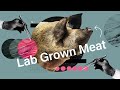 Rethinking the future of lab-grown meat