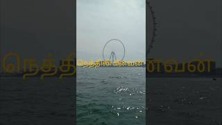 துபாய் கடல் காட்சி! #dubai #fishingtripdubai #fishing #kingfish #musicgenre #viral #shorecasting