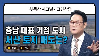 부동산시그널 : 충남 대표 거점 도시 서산! 토지 매도 할까?