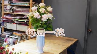 每周一花 霓裳玫瑰洋甘菊 家庭瓶插鲜花【大叔說花】