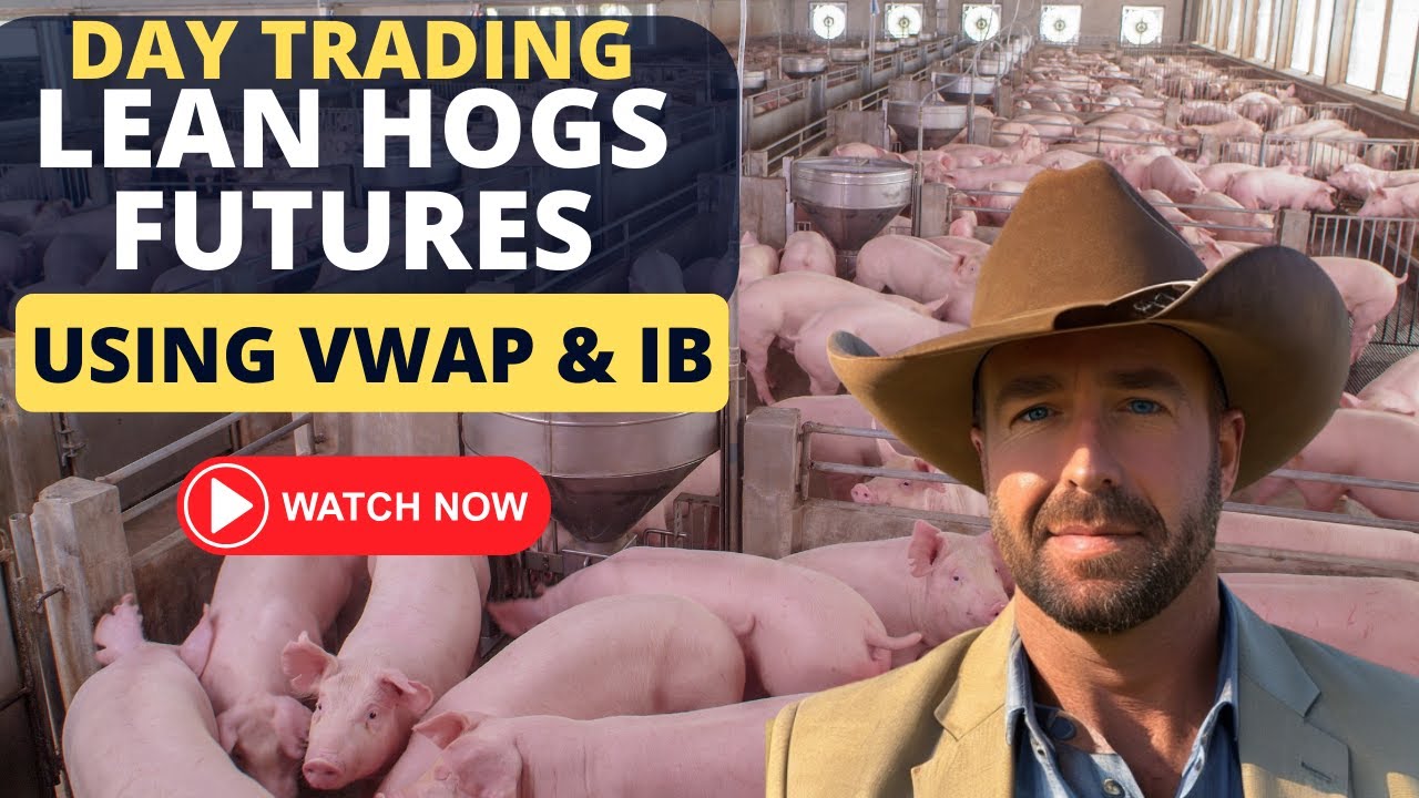 Day Trading Lean Hogs Futures Using VWAP & Initial Balance - YouTube