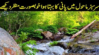 A Flowing Body of Water in a Lush Environment | Natural Meditation for Positive Energy | Relaxation