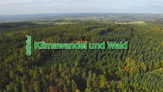 GENial 02 - Klimawandel und Wald