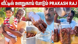 Video: சொந்த Farm House-ல் ஊறுகாய் போடும் Prakash Raj | Life At Prakasham, Lockdown, Pony Prakash