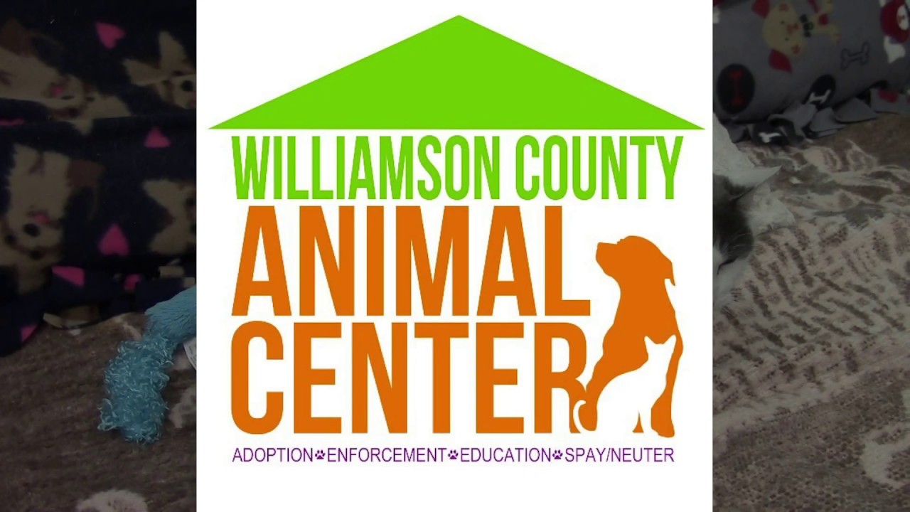 Williamson County Animal Shelter PKG - YouTube