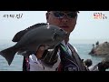 북서풍tv 패턴만 잘잡으면 누구나 마릿수 벵에돔 낚시 잠길찌낚시 opaleye fishing sea fishing クロメジナ