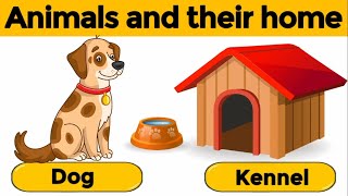 Animals and their homes | Animals home | Home of animals | Animal homes | Animal shelter for kids