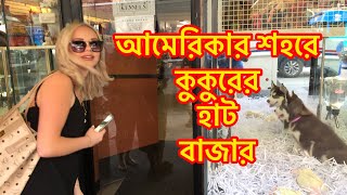 আমেরিকায় কুকুরের হাট বাজার দেখুন - Dog haat bazzer in America