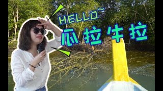 【马来西亚7 霹雳州 瓜拉牛拉野趣行】MALAYSIA EP7 ICREDIBLE KUALA GULA 20181011 The Amazing Trip 奇妙的旅行