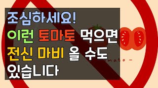 조심하세요! 이런 토마토 먹으면 전신 마비 올 수도 있습니다 | 효능 | 부작용 | 주의 사항 | 항산화 | 영양 | 라이코펜 | 리코펜 | 솔라닌