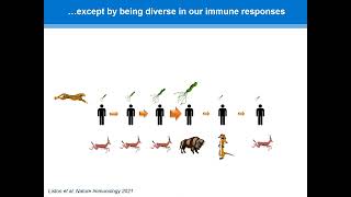 Diversity in the Immune System