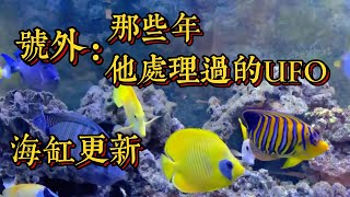 入手粉藍倒吊。海缸更新。最新熱聞：關於UFO，一個資深空軍想告訴我們的。