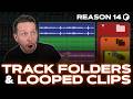 Reason 14 Track Folders & Looped Clips Explained