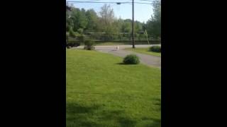 Dog fetches paper.