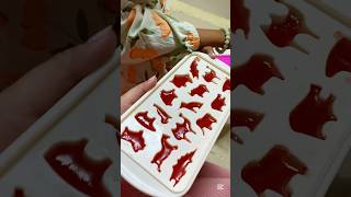 រៀនធ្វើចាហួយឥឡឹក 🍉 Jelly Jelly