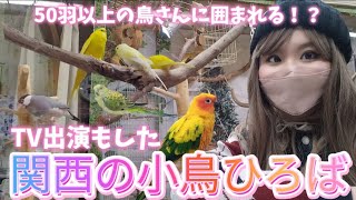 50羽以上の鳥さん達に囲まれる！？天国の様な場所を紹介します