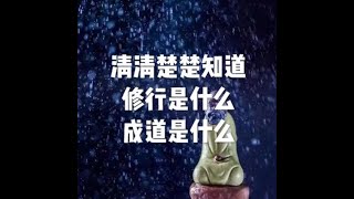 201210 清清楚楚知道修行是什么　成道是什么10145