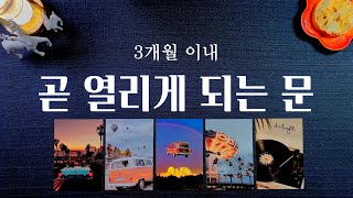 [타로] 내 앞에 놓인 문이 열리기 시작합니다.